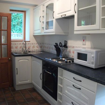 Bryn Cottage Llandderfel Extérieur photo