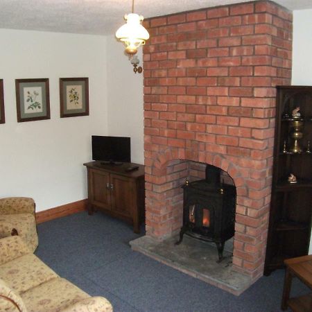 Bryn Cottage Llandderfel Extérieur photo