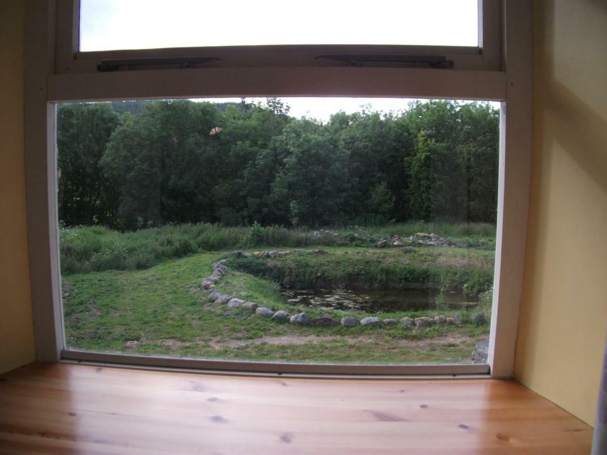 Bryn Cottage Llandderfel Extérieur photo