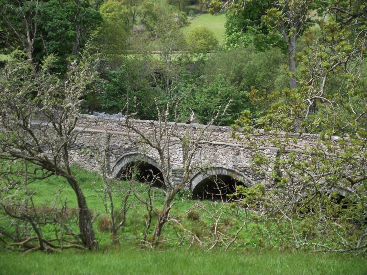 Bryn Cottage Llandderfel Extérieur photo